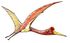Quetzalcoatlus07.jpg
