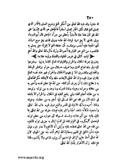 الصفحة التالية &larr;