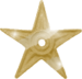 Gold barnstar 2.png