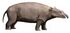 Moeritherium NT crop.jpg