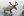 Caribou from Wagon Trails.jpg