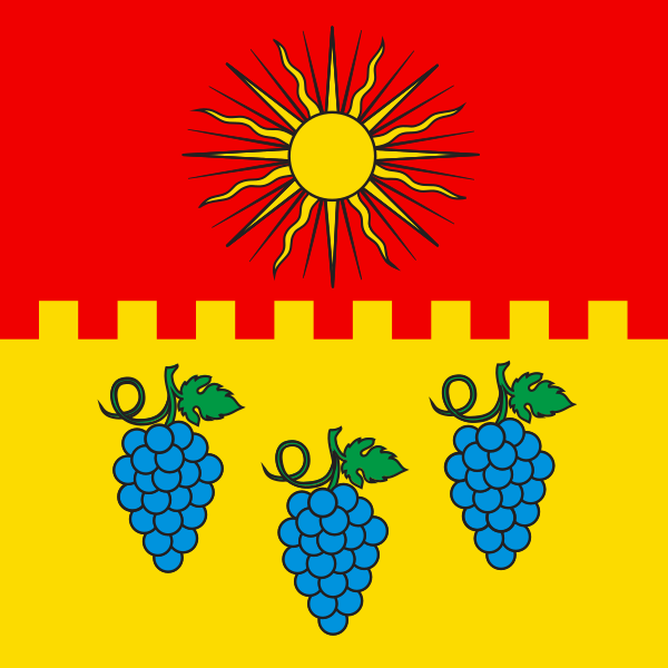 ملف:CHE Noble-Contrée Flag.svg