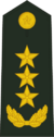 General