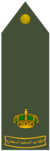 RAID (RSLF).png
