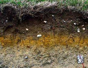 Layers of soil in Ireland. Dark brown soil usually contains a high amount of decayed organic matter.