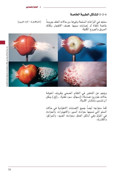 ملف:ICRC 004 0870.pdf