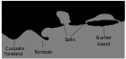 Accreting coast Image6.svg