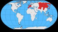 Corvus corone map.jpg