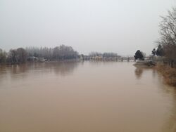 Karadarya river.JPG