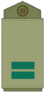 OF1b IDF Segen.gif