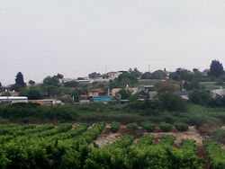 המושב אלקוש.jpg