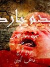 بدم بارد 2025.jpg