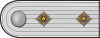 SS-Hauptsturmführer h.svg