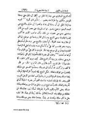 الصفحة التالية &larr;