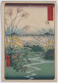 31- The Otsuki Plain.jpg