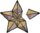 Cscr-candidate.png