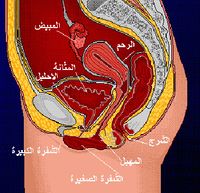 Fe 5552.jpg