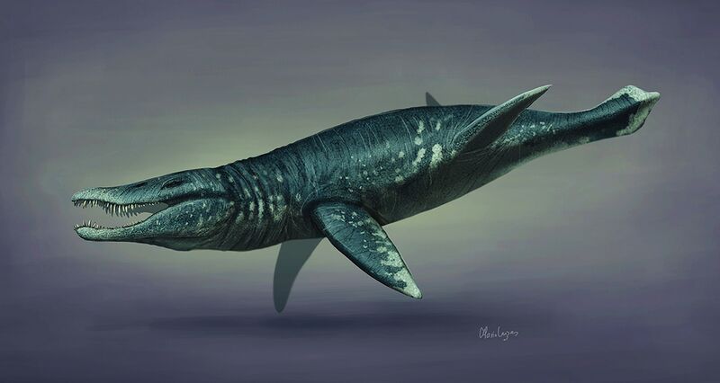 ملف:Pliosaurus restoration 2019.jpg
