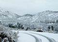 Snow on the ground in the mountains of Southern California.