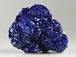 Azurite - New Nevada Lode, La Sal, Utah, USA.jpg