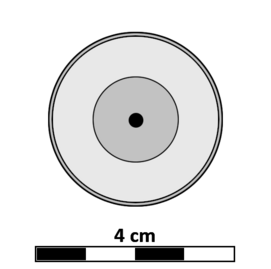 Cycliomedusa Diagram.png