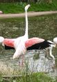 Bristol Zoo