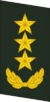 PLAGF-Collar-0720-GEN.png