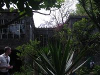 StairwayCasaAzul.JPG