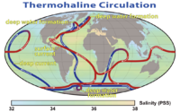 World map with colored, directed lines showing how water moves through the oceans. Cold deep water rises and warms in the central Pacific and in the Indian, while warm water sinks and cools near Greenland in the North Atlantic and near Antartica in the South Atlantic.