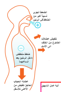 شهيق.png