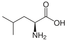 L-Leucine.svg