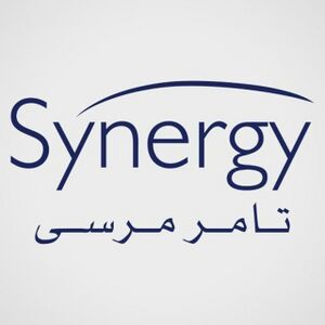 Synergy Art Production.jpg