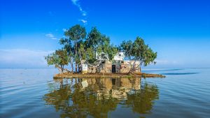 منزل وحيد بِإحدى جزر بحيرة البرلس، ببمحافظة كفر الشيخ، مصر