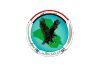 Flag of the Iraqi Counter Terrorism Bureau.svg