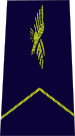 French Air Force-aspirant EOPN.svg