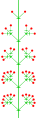 Thyrse