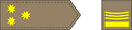 Капетан (Kapetan) Macedonian Army