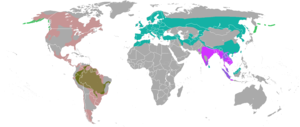 Otter ranges.png