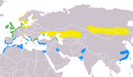 Tadorna tadorna distribution.png