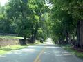 Narrow country roads bounded by stone and wood plank fences are a fixture in the Bluegrass region.