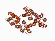 1ann: ANNEXIN IV