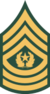 USAr.insignia.e9comm.wag22.png