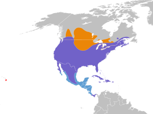 Zenaida macroura map.svg