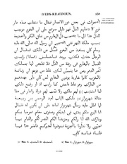 الصفحة التالية &larr;