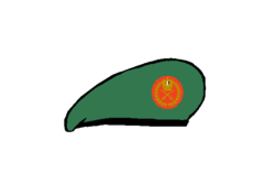 Armored corps general Beret - Egyptian Army.png