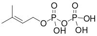 Dimethylallylpyrophosphate.svg