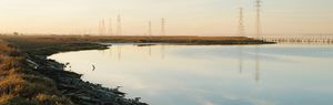 Palo Alto Baylands January 2013 005 (cropped).jpg