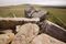 Geology T3173.jpg