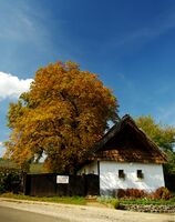Traditional residential house in Abasár