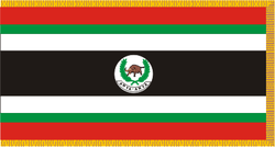 Sn anyaanya1.PNG